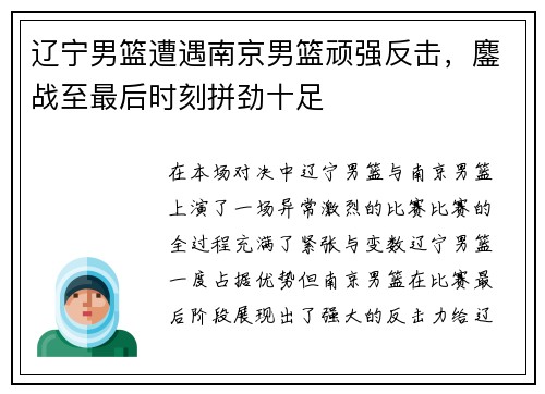 辽宁男篮遭遇南京男篮顽强反击，鏖战至最后时刻拼劲十足